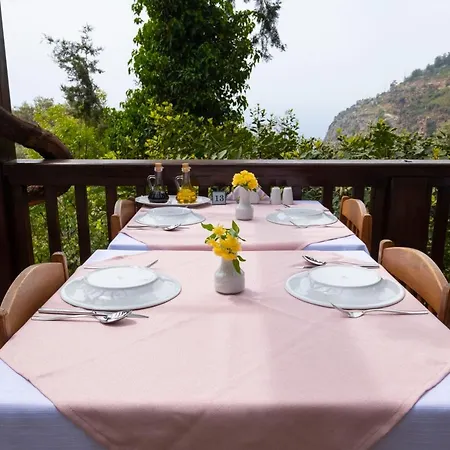 Otel Watermill Villa&hotel Faralya