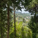 Otel Watermill Villa&hotel Faralya