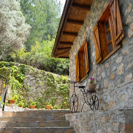 Watermill & Faralya Hotell *