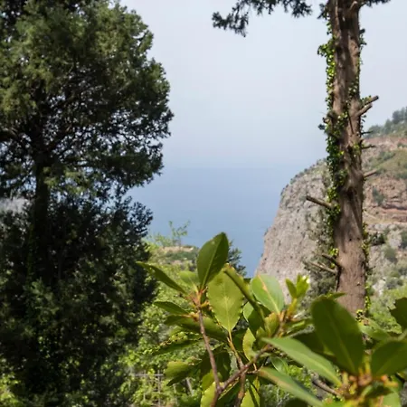 Hotel Watermill & Faralya Fethiye