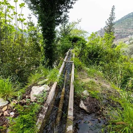 מלון Watermill & Faralya *