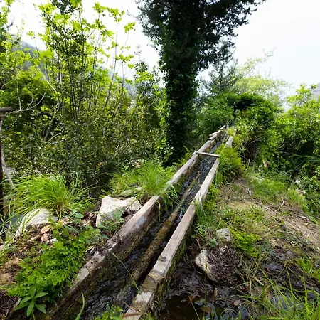 Watermill & Faralya פאטהיה