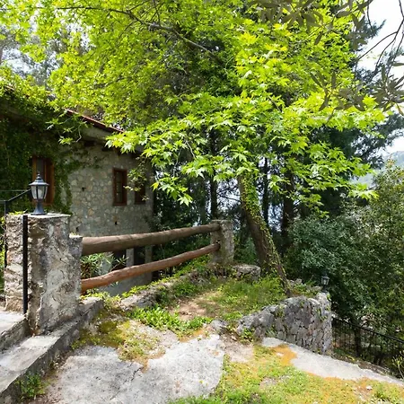 Watermill & Faralya *