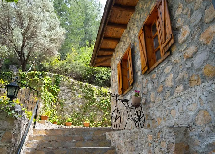 Watermill & Faralya Hotel *