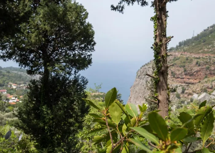 Hotel Watermill & Faralya Fethiye