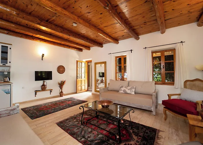 Watermill & Faralya Hotel *