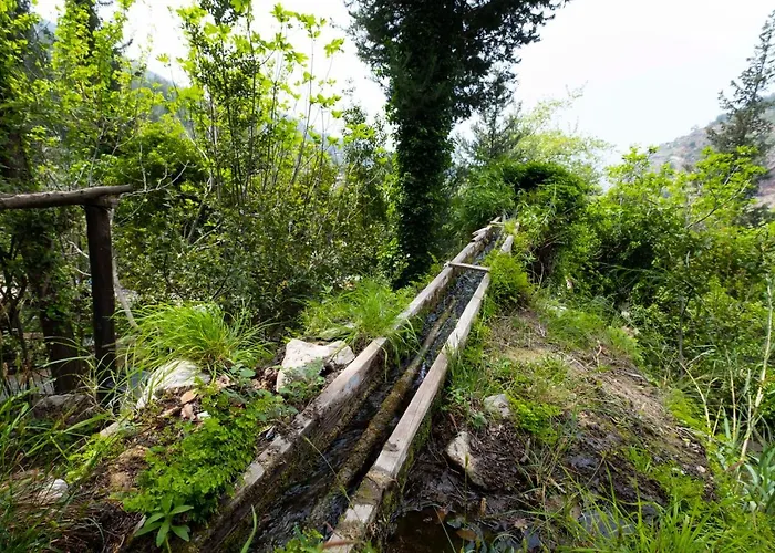 Watermill & Faralya Φετιγιέ