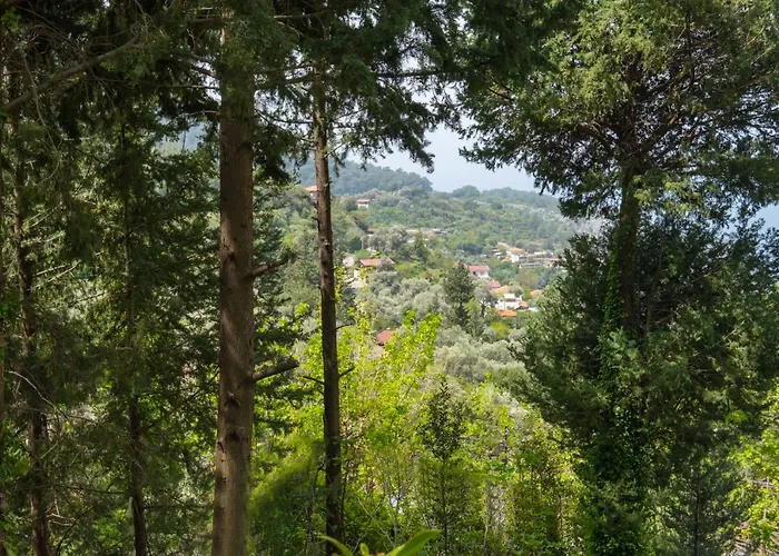 Ξενοδοχείο Watermill & Faralya