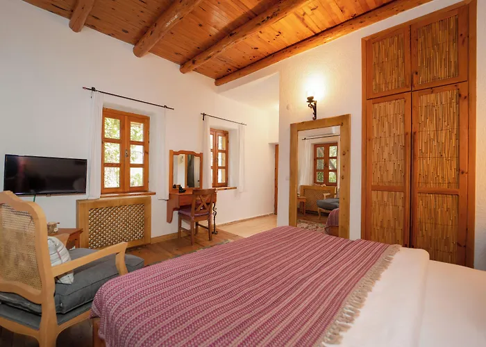 Watermill & Faralya * Φετιγιέ